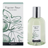 Fragonard Figuier Fleur