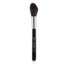 Sigma Beauty F37 Spotlight Duster